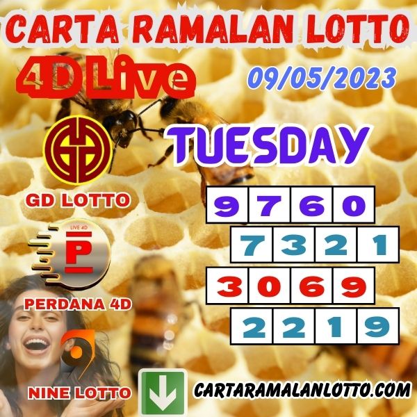 Carta Lotto
